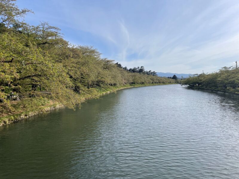 弘前公園お堀の桜並木