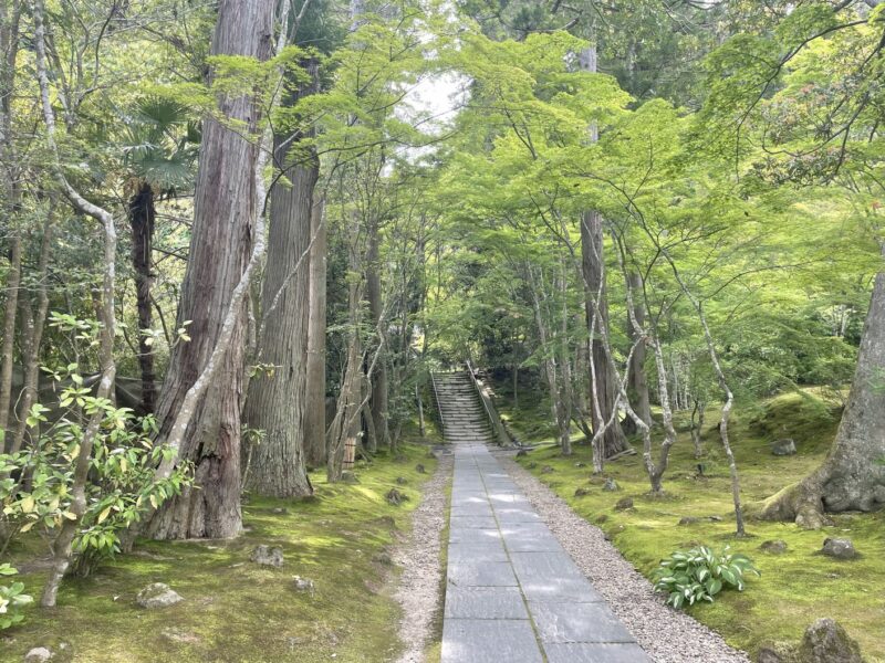 円通院 庭