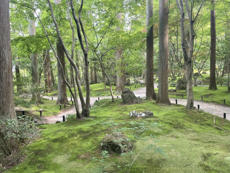 円通院 禅林瞑想の庭