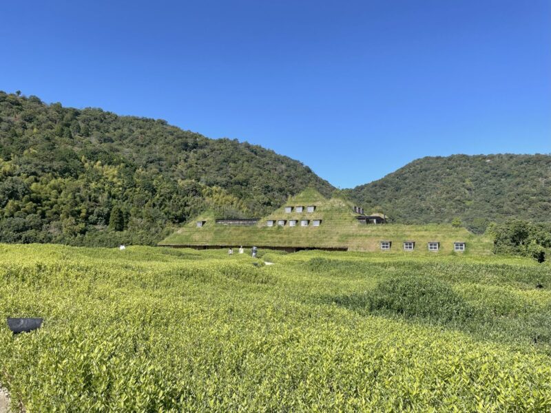 ラコリーナ近江八幡