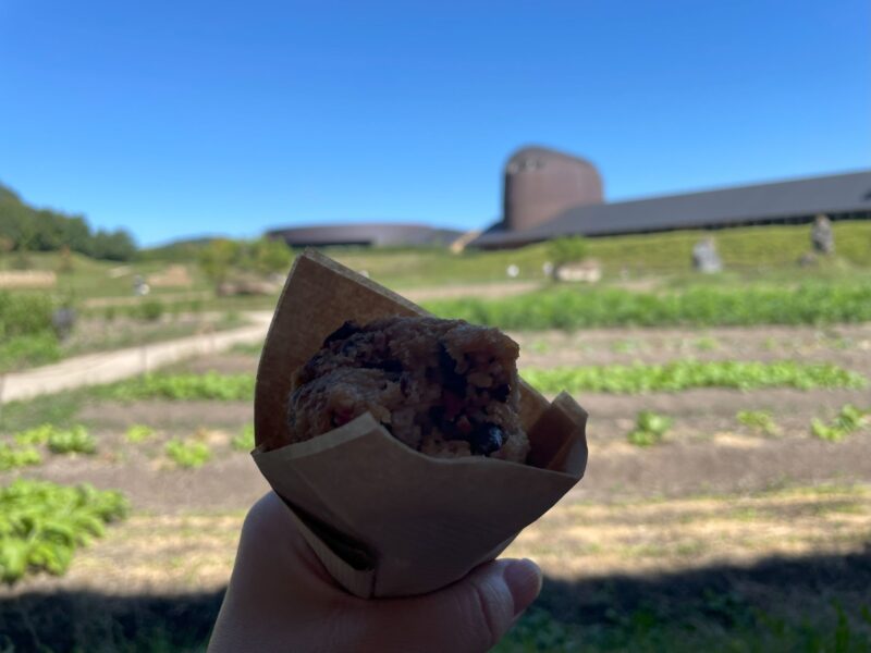 ラコリーナ近江八幡
アランチーノ