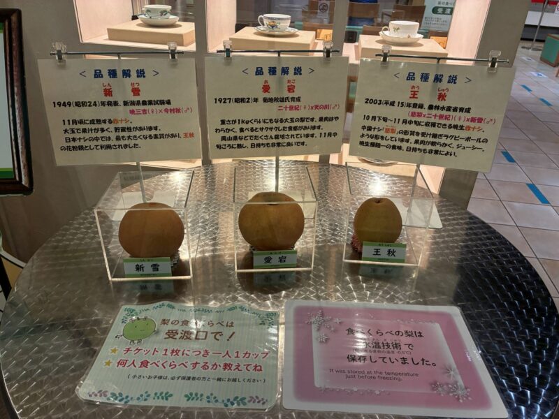 なしっこ館　梨の食べ比べ