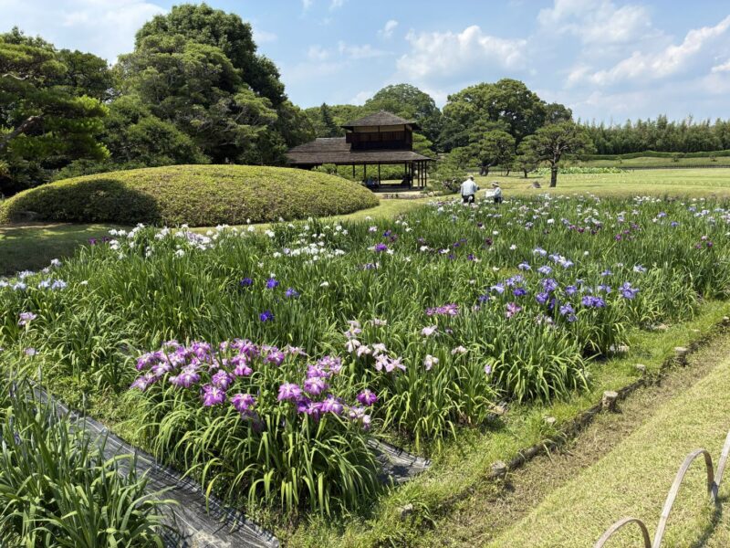 岡山後楽園